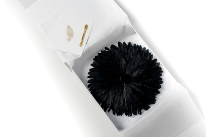 Color: Midnight Black